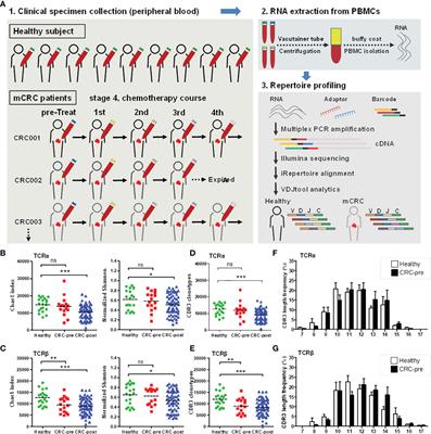 Frontiers | Longitudinal High-Throughput Sequencing Of The T-Cell ...